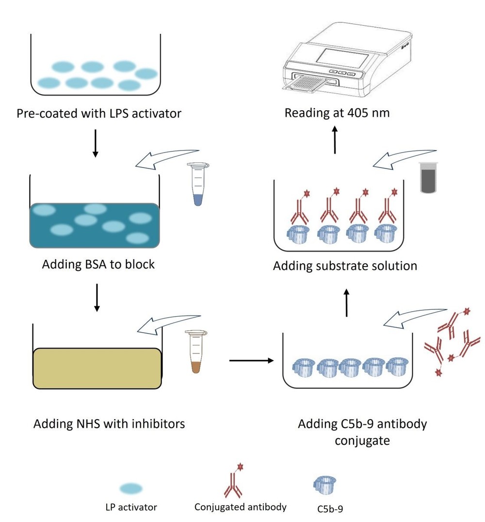 ELISA-based C5b-9 deposition assay. (Creative Biolabs Original)