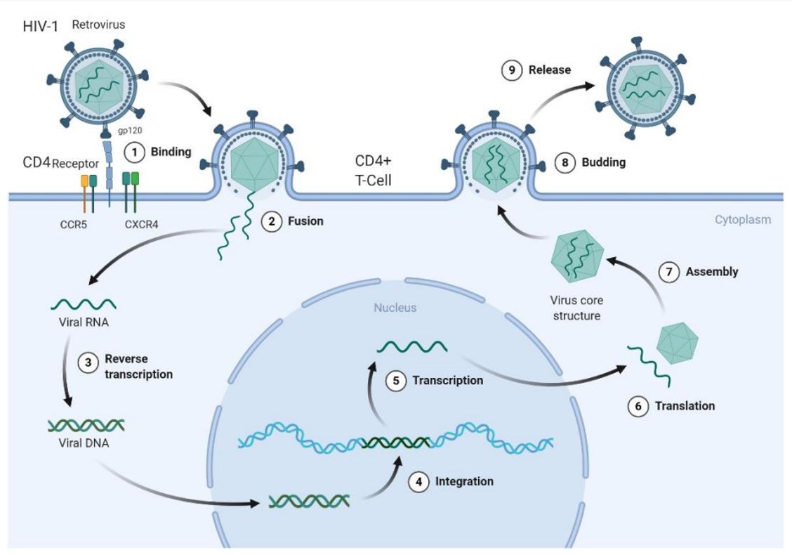 HIV and CD4.