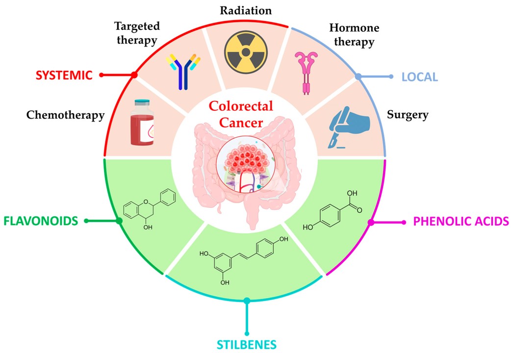 Therapeutic approaches for CRC, with conventional treatment and some types of polyphenols used in CRC treatment.