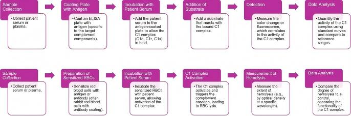 Complement C1 complex assay. (Creative Biolabs Original)