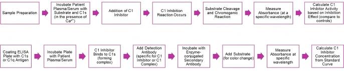 Complement C1-INH assay. (Creative Biolabs Original)