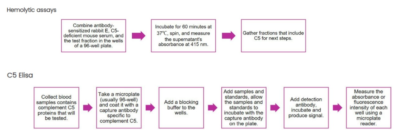 Complement C5 assay. (Creative Biolabs Original)