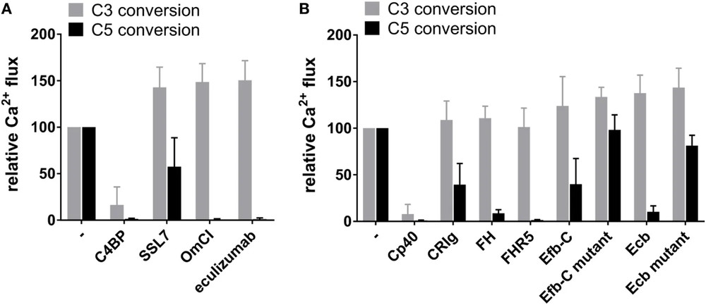 Classical pathway C3 and C5 conversion. (OA Literature)