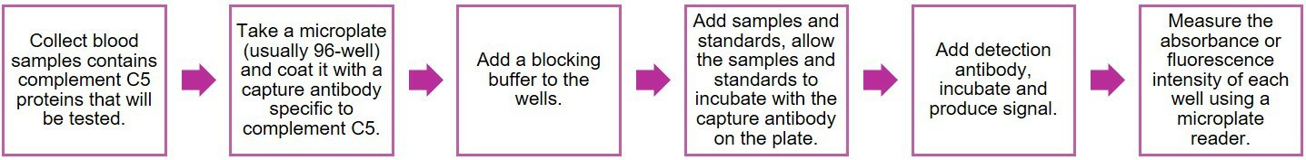 C5 ELISA (Creative Biolabs Original)