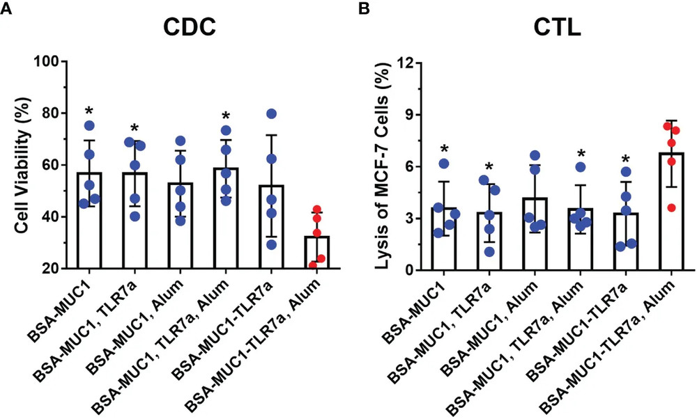 CDC and cytotoxic T lymphocyte activity after MUC1 vaccine immunization