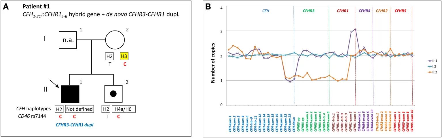 CFH-CFHR structural variants in aHUS. (OA Literature)