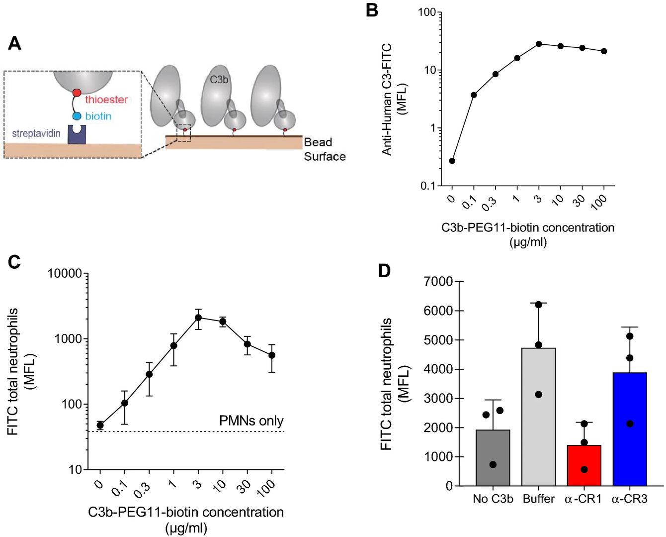 Purified C3b triggers phagocytosis and killing of E. coli via CR1. (OA Literature)