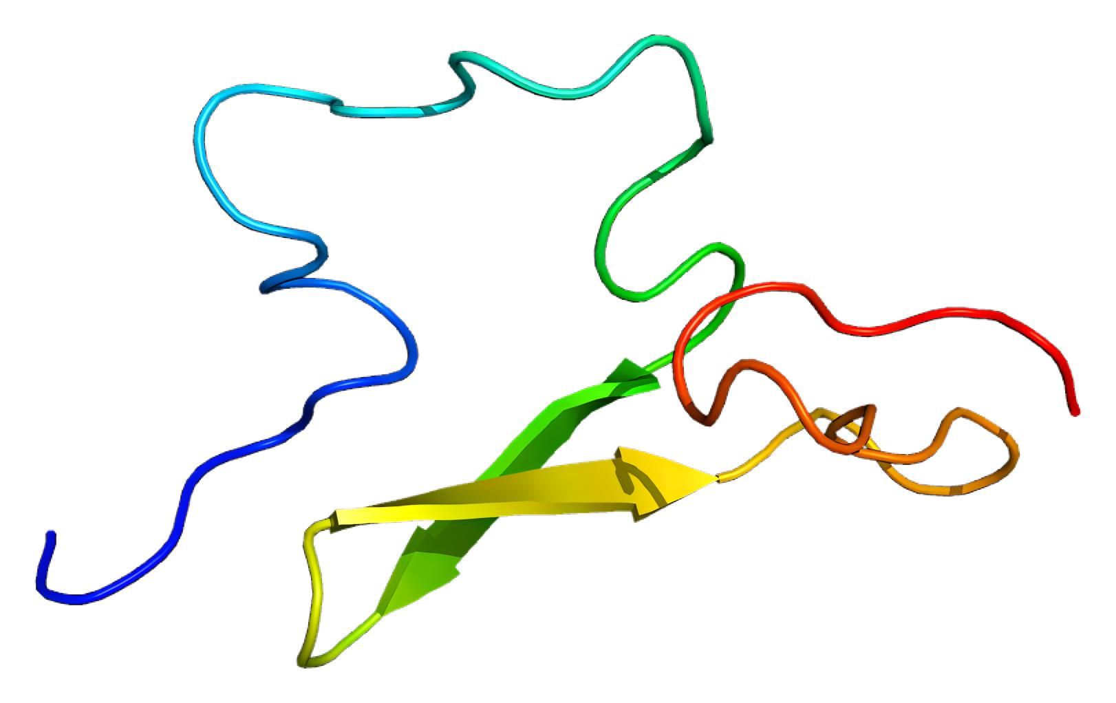 Fig. 1 The 3D model of human C1r. （By Emw - Own work, https://commons.wikimedia.org/wiki/File:Protein_C1R_PDB_1apq.png)