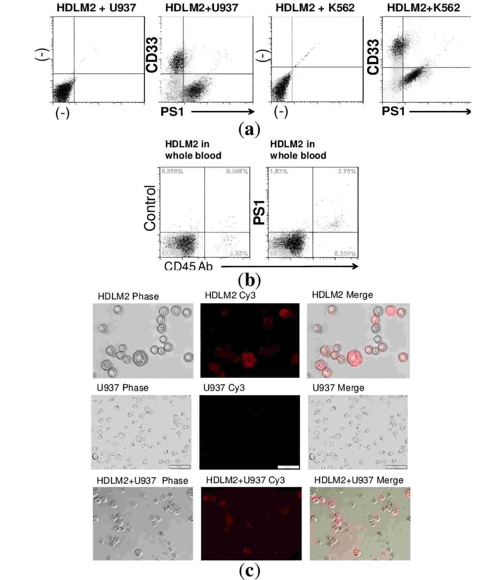 Fig.2 Anti-HL Aptamer recognizes HL cells in mixture containing control U937 cells without non-specific binding. (Parekh, et al., 2013)