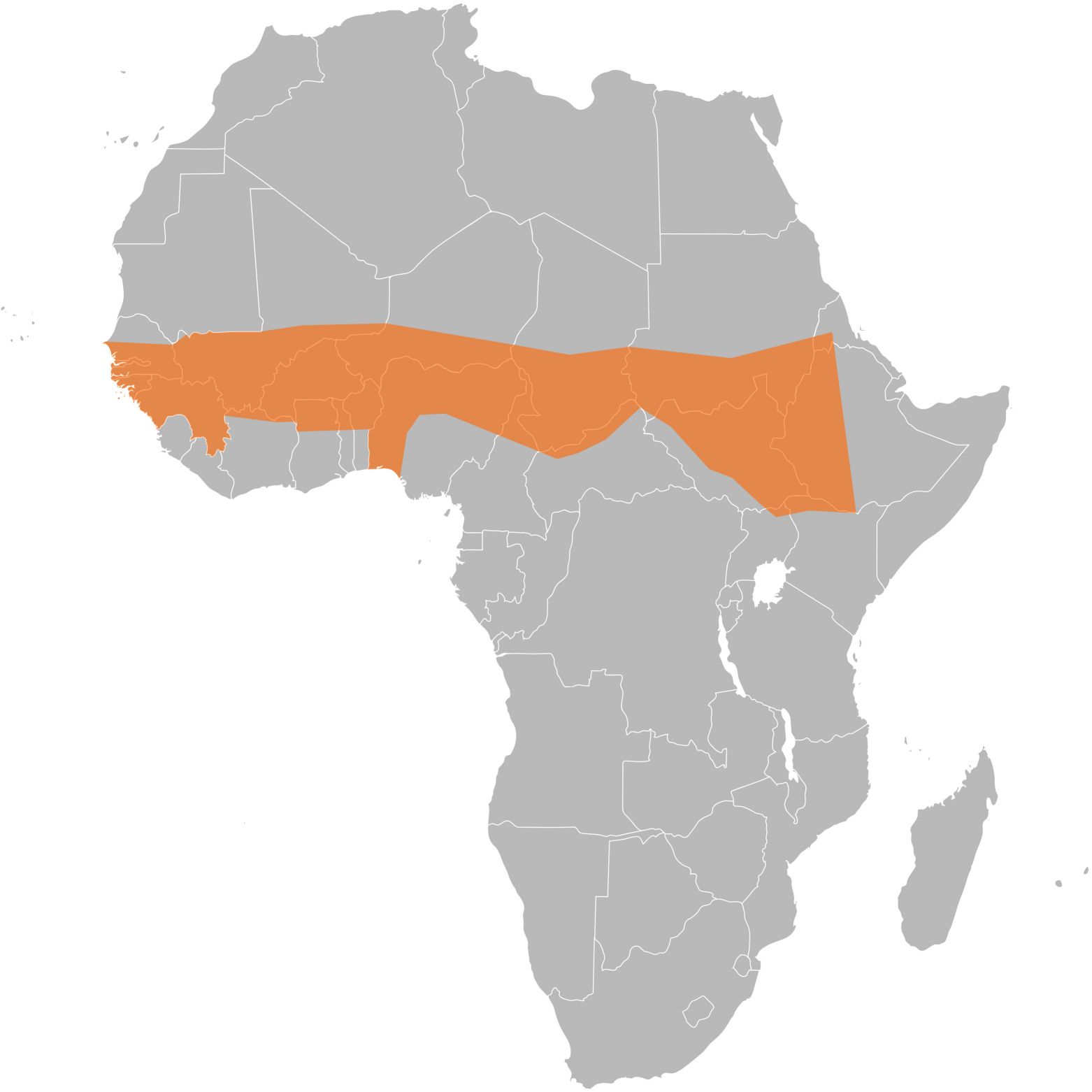 Fig. 1 Distribution of meningococcal meningitis in the African meningitis belt reveals regional patterns and hotspots. （From Wikipedia: By Ninjatacoshell - Own work， https://commons.wikimedia.org/wiki/File:Meningococcal_Meningitis_Range.svg)