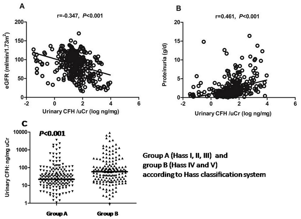 Urinary complement factor H relationships with renal function, proteinuria, and histologic changes in IgA nephropathy
