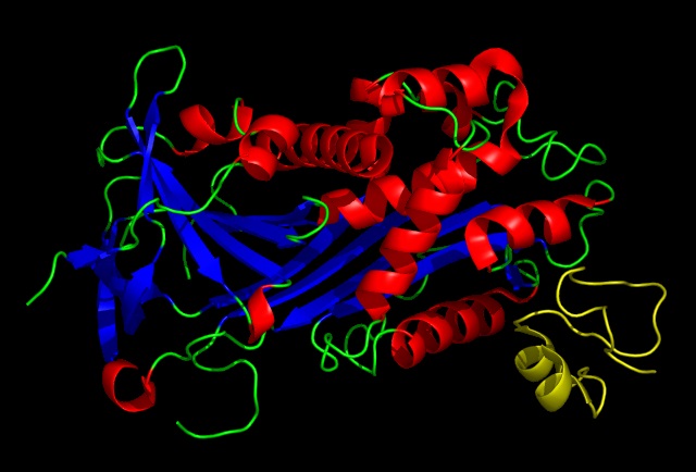 Structure of PAI-1 in complex with the SMB domain of vitronectin.