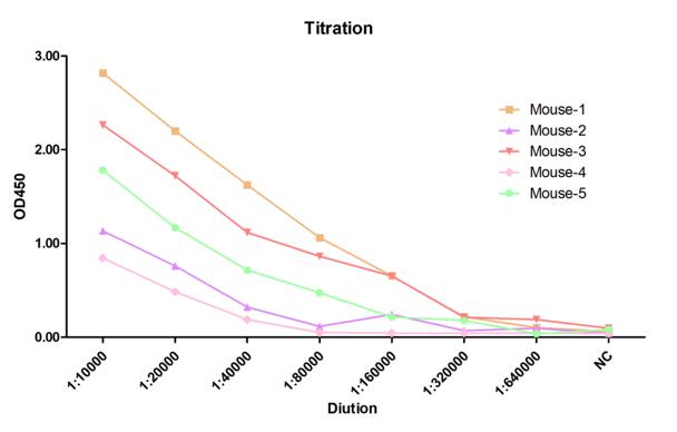 3. The ELISA 2nd titration result confirmed a robust antibody titer surge critical for assessing immunogenicity. (Creative Biolabs Original)