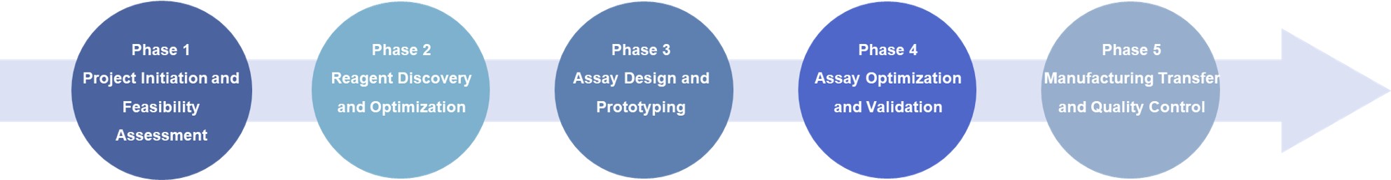 IVD immunoassay development process. (Creative Biolabs Original)