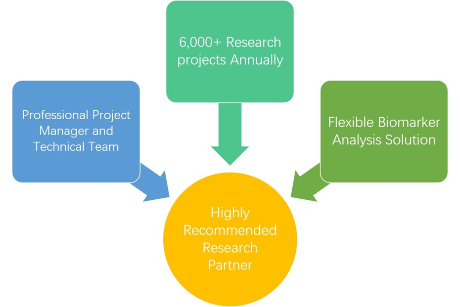 Advantages of our ANK2 analysis services. (Creative Biolabs Original)