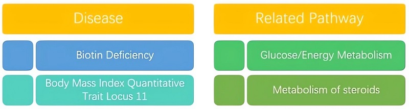 Disease and related pathways of ACACB. (Creative Biolabs Original)