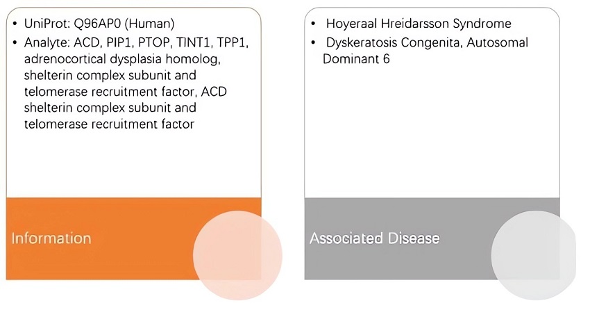 Information and related diseases of ACD. (Creative Biolabs Original)