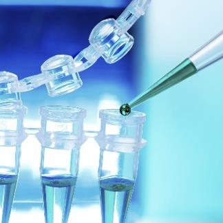 Blocker (Creative Biolabs Original)