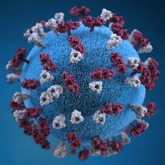 IVD Antibody & Antigen (Creative Biolabs Original)