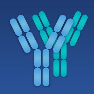 Antibody Pair (Creative Biolabs Original)