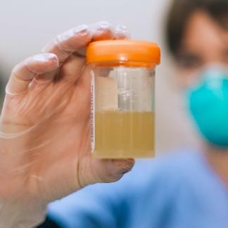 Serum & Plasma (Creative Biolabs Original)