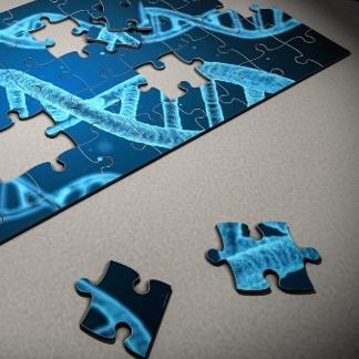 Aptamer (Creative Biolabs Original)