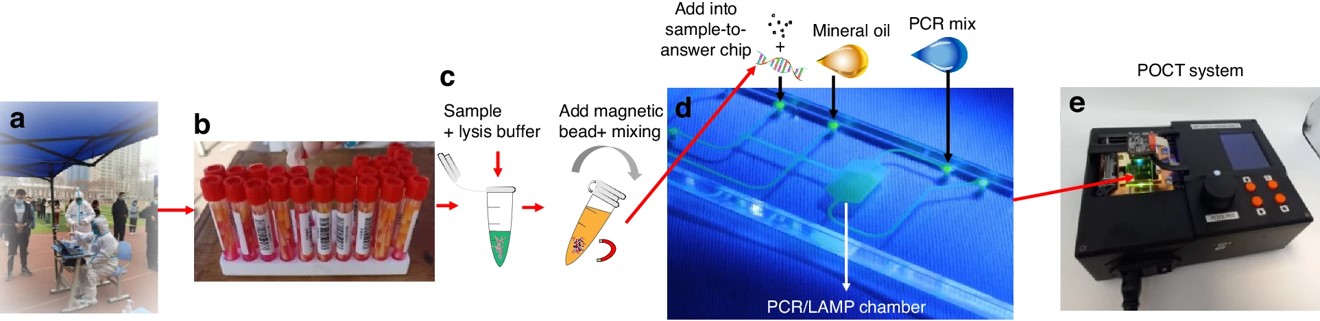 Workflow of a microfluidic diagnostic system for RNA detection from sample collection to result display.