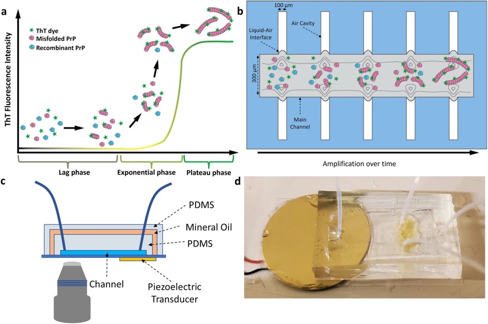 Application of microfluidic ELISA detection system to hs-CRP determination in real-world urine samples.