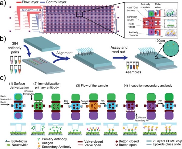 Workflow schematic of the microfluidic platform.