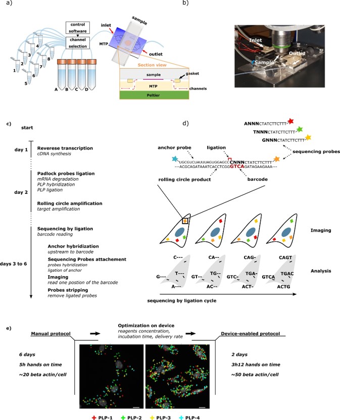 Assay scheme and description of the microfluidic tissue processor.