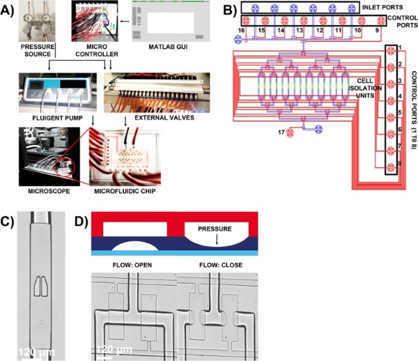 Complete setup of the microfluidic chip, for automation, and detailed description of the chip design.