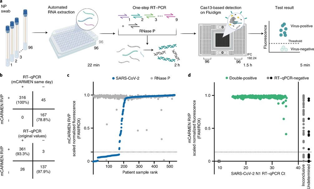 Evaluation of an automated and condensed mCARMEN workflow.