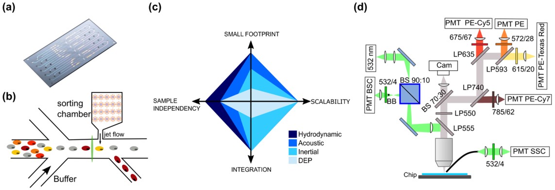 Design schematic of the chip cytometer.
