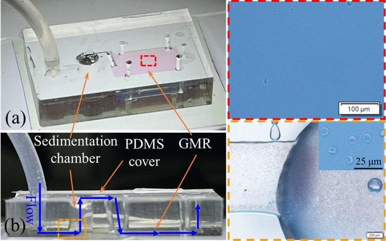 Single cell behavior and development in molecular profiling. (Creative Biolabs Original)