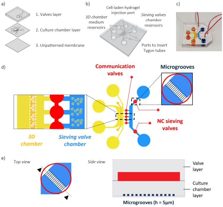 Tilted, side and top views of the optofluidic chip.
