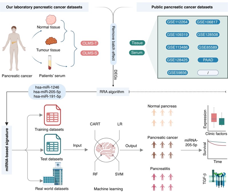 Workflow of liquid biopsy combined with miRNA-based signature for pancreatic detection.