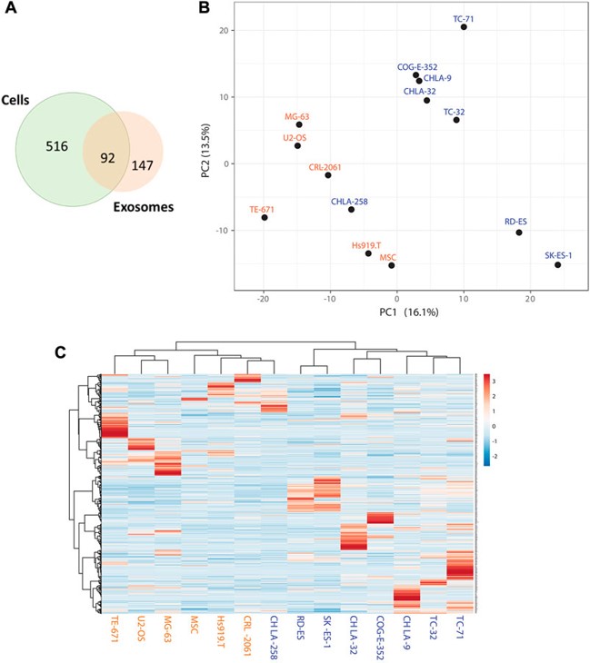 Identification of enriched sEV proteins for EWS by mass-spectrometry.