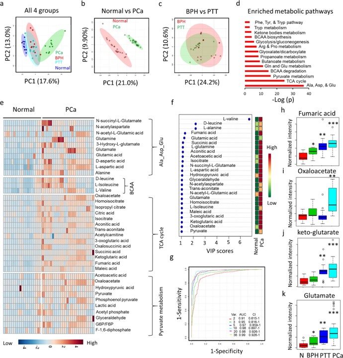 Global untargeted urine metabolomics profile data reveals distinct metabolic differences between PCa and normal.