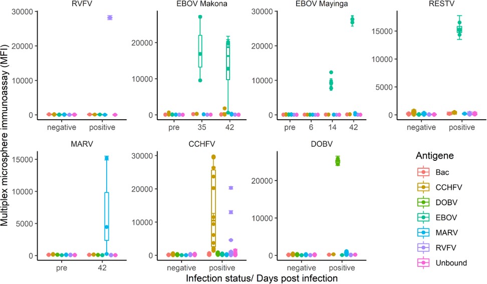 MMIA validation using serum samples from humans or NHPs known to be infected with RVFV, EBOV, MARV, CCHFV, or DOBV.