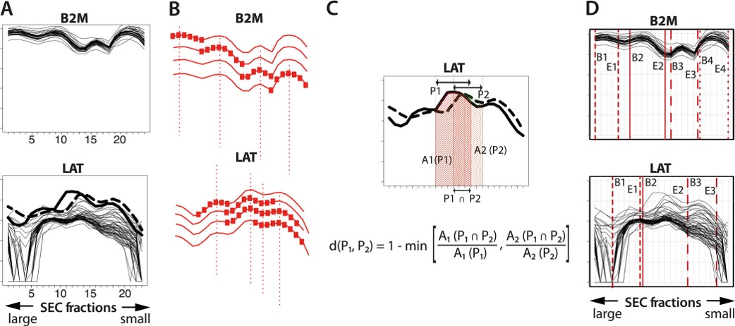 SEC-MAP can reveal the immunophenotype of leukemia cell lines.