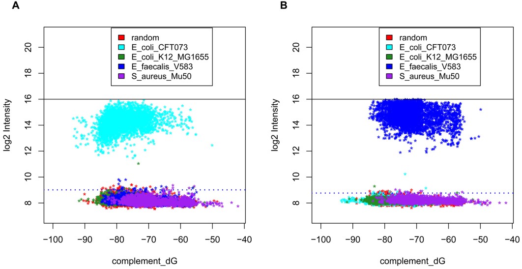Hybridization of E. coli and E. faecalis pure genomic DNA to gene virulence array.