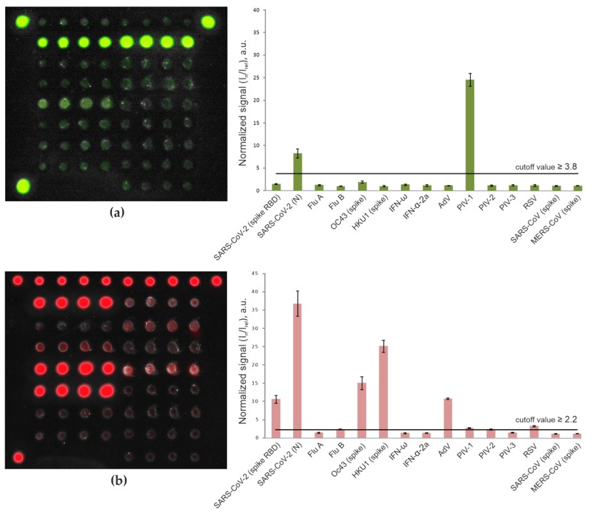 The fluorescence profiles of the microarray as the result of testing serum samples from patients with severe COVID-19.