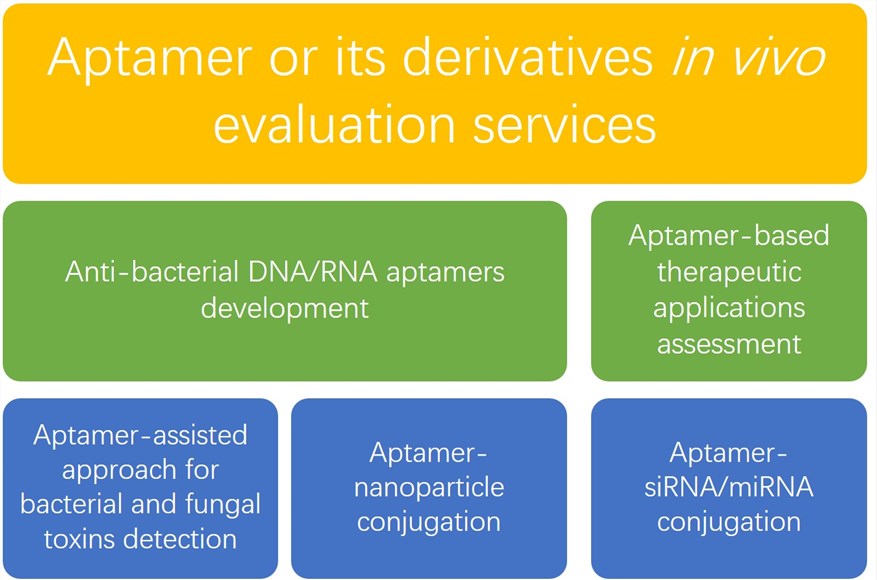 Aptamers for Bacterial Infection Diagnosis