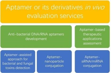 Aptamers for Bacterial Infection Diagnosis