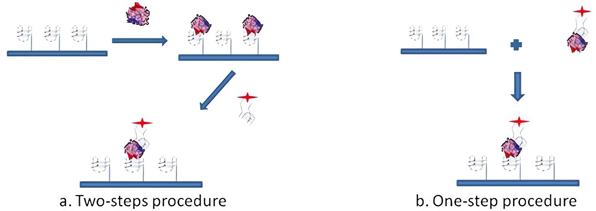 Representation of the SAM for thrombin detection performed following the two-steps (a) and the one-step (b) procedure.