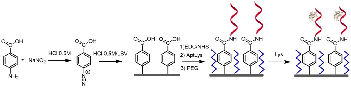 Steps for the experimental protocol for the label-free aptasensor for Lys detection based on covalent bond immobilization technique via electrochemical grafting.