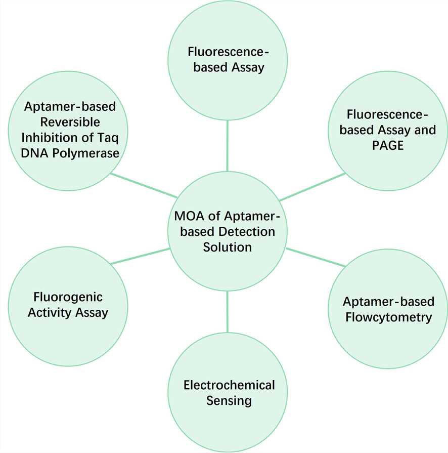 Fig.2 Aptamer-based diagnostic solution principle. (Creative Biolabs Original)