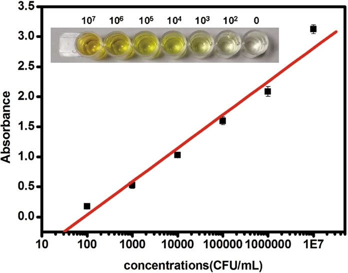 Absorbance responses of the designed biosensor to various concentrations of Staphylococcus aureus.