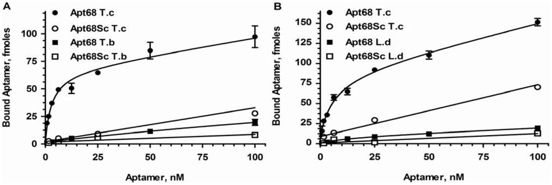 Aptamer interacts with high specificity to T. cruzi trypomastigotes.