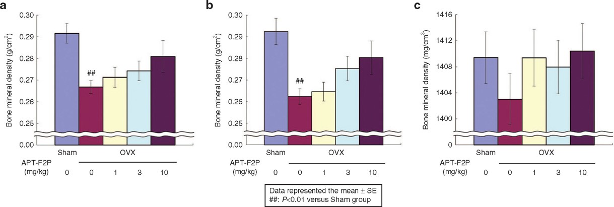 Restored bone density in ovariectomized rats by anti-FGF2 aptamer.